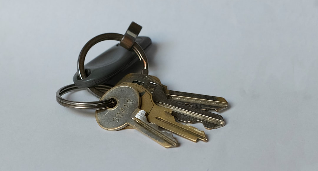 pet deposit. Black and silver keys on white wooden table